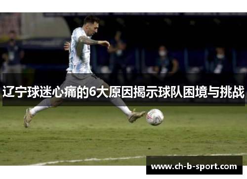 辽宁球迷心痛的6大原因揭示球队困境与挑战