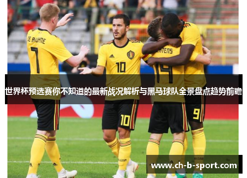 世界杯预选赛你不知道的最新战况解析与黑马球队全景盘点趋势前瞻