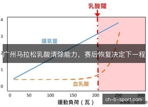 广州马拉松乳酸清除能力，赛后恢复决定下一程